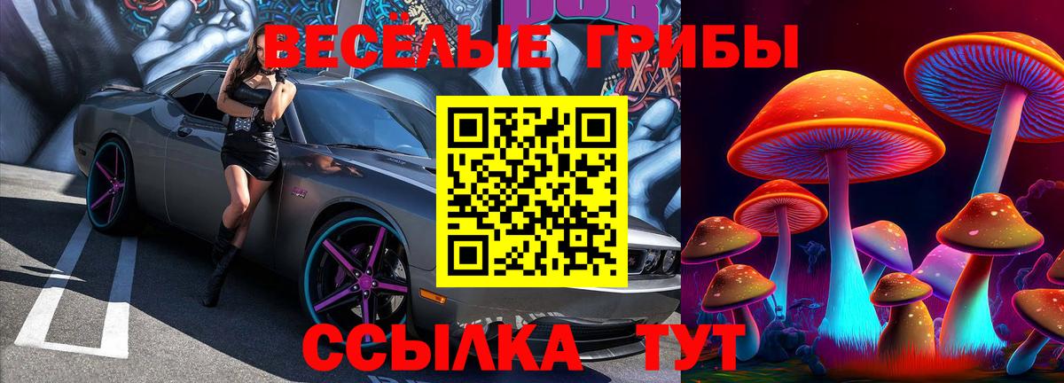 Галлюциногенные грибы GOLDEN TEACHER  Вход с VPN  Орехово-Зуево 